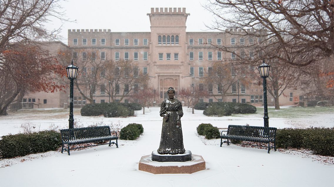 Bradley University Campus, Peoria, IL